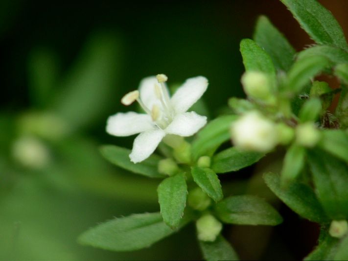 2007-10-21 15-16-18 1